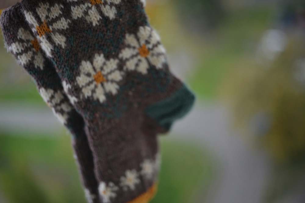 Colorwork: calzini con motivo a margherite